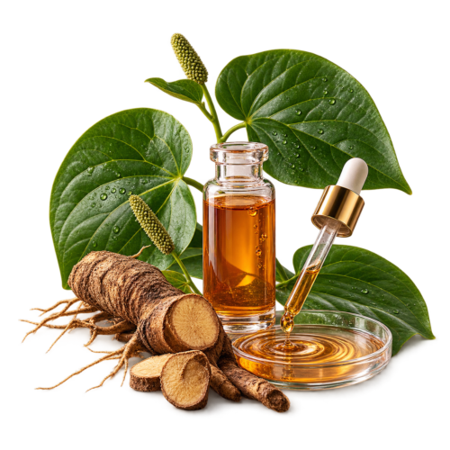 ZD-ACT-006 Kava Extract ingredient visual