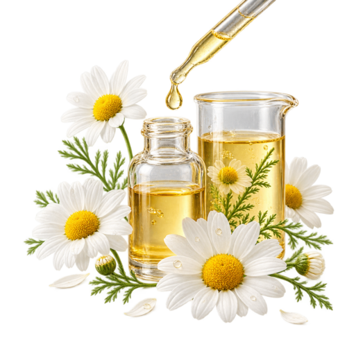 ZD-ACT-009 Chamomile Extract ingredient visual
