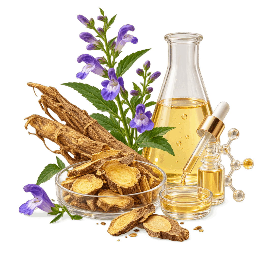 Scutellaria Root Extract ingredient visual